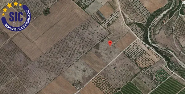 Spot image