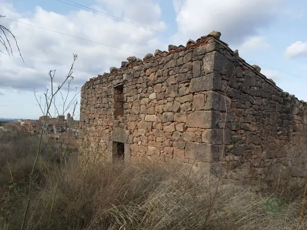 Spot image