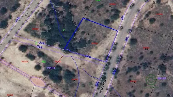 Spot image
