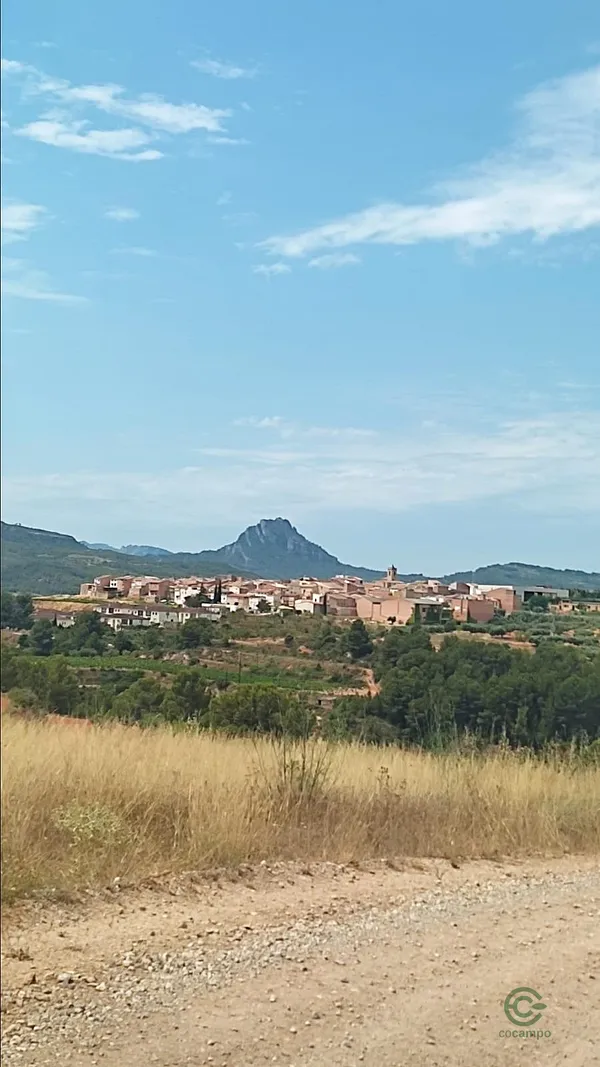 Spot image