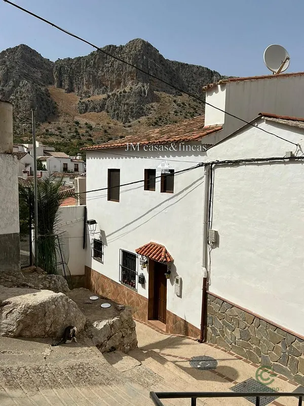 Spot image