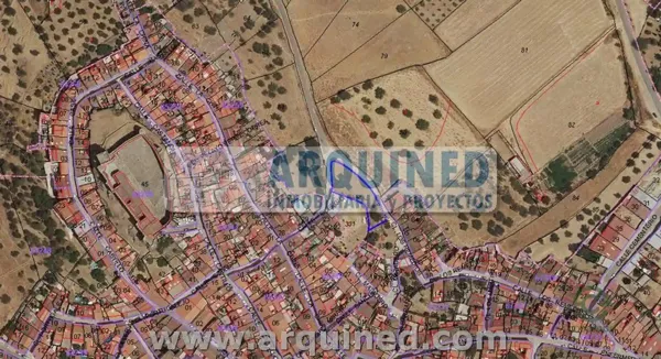 Spot image