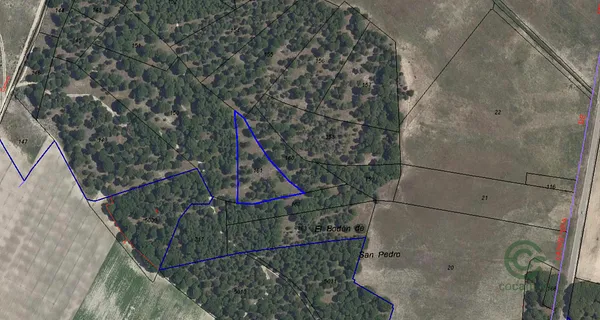 Spot image