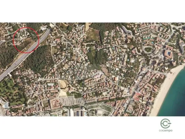 Spot image