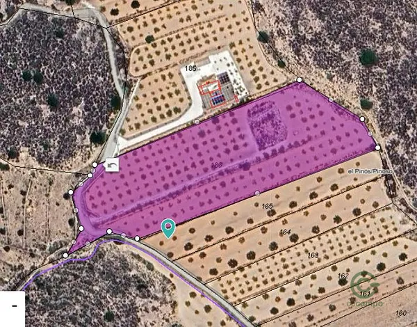 Spot image