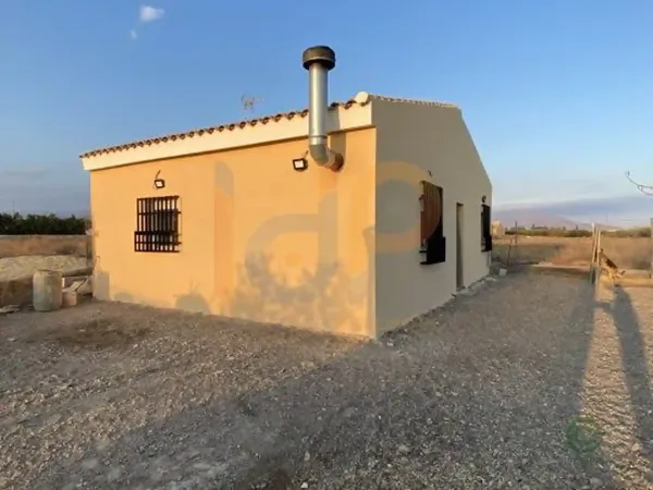 Spot image