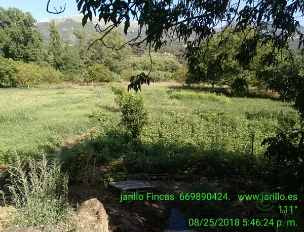 Spot image