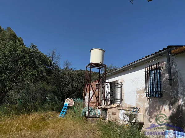 Spot image