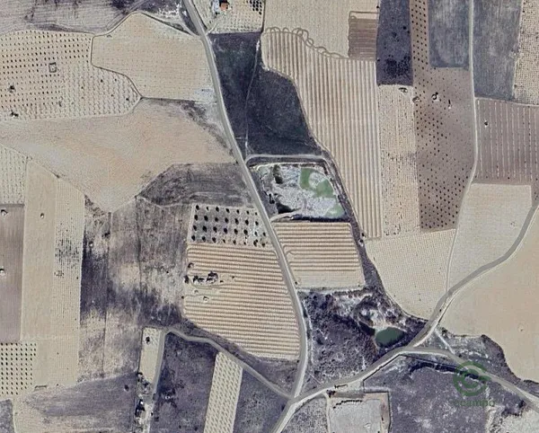 Spot image