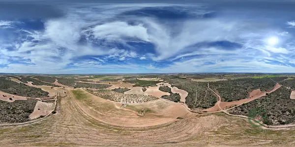 Spot image