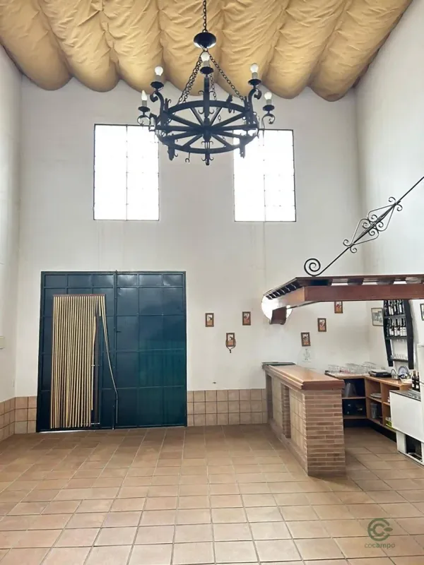 Spot image