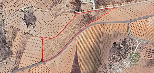 Spot image
