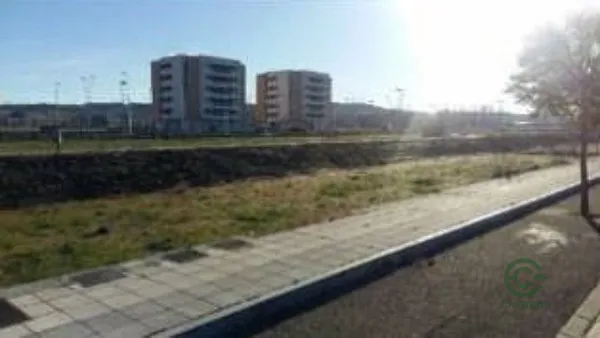 Spot image