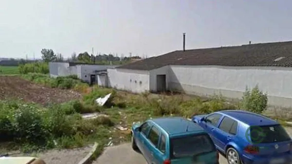 Spot image