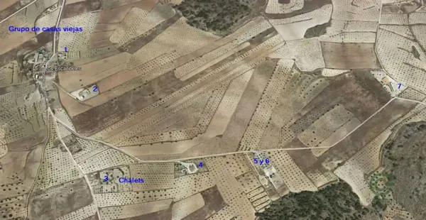 Spot image