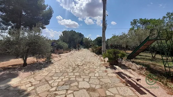 Spot image