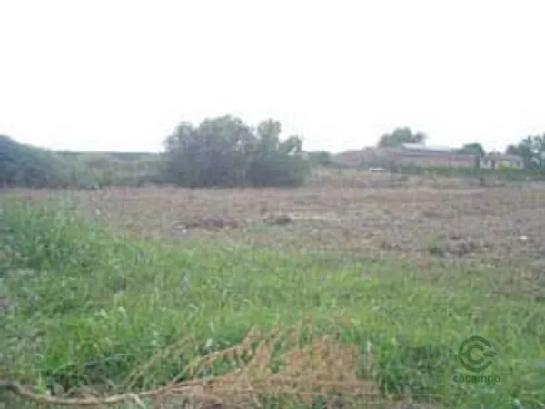 Spot image