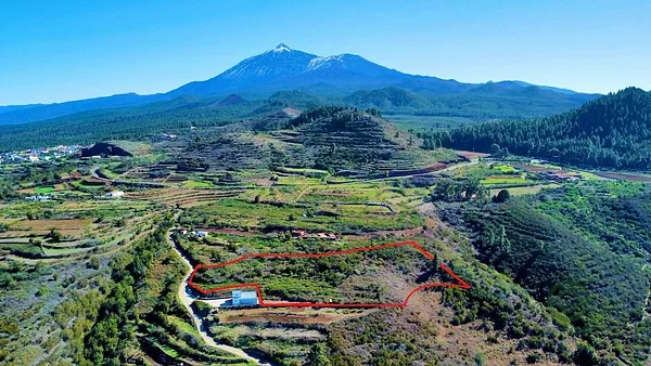 Spot image