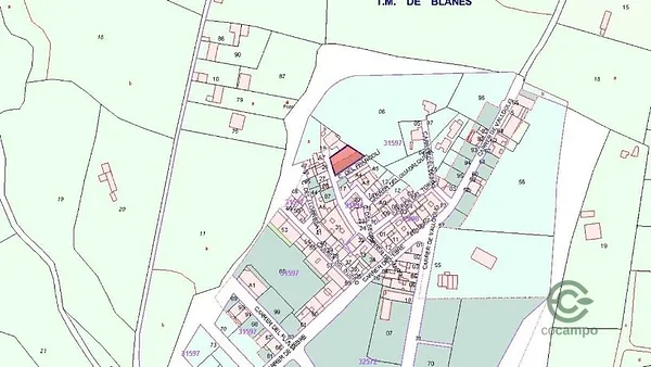 Spot image
