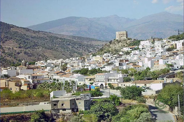 Spot image