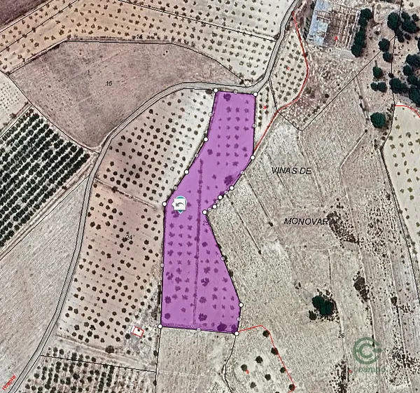 Spot image