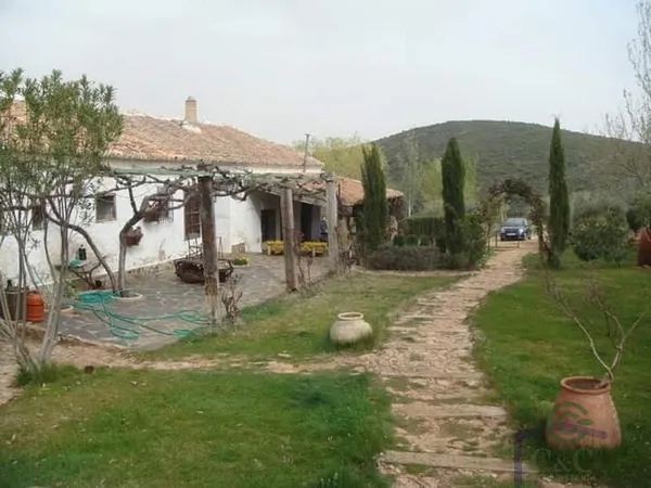 Spot image