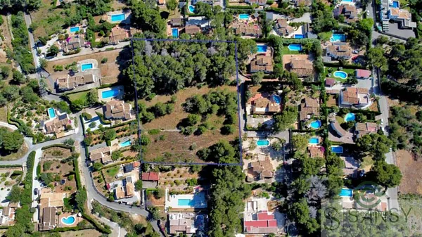 Spot image
