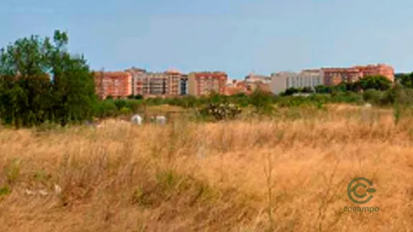 Spot image