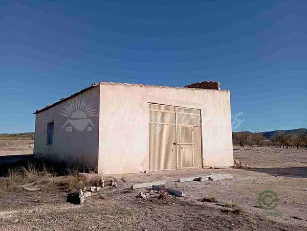 Spot image