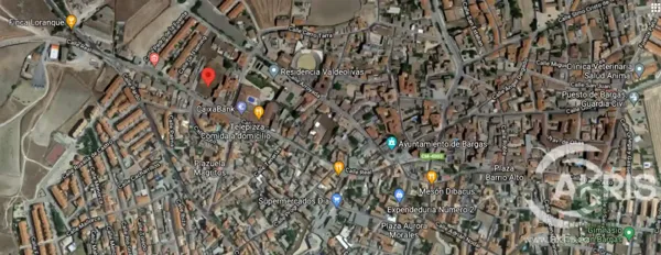 Spot image