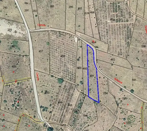 Spot image