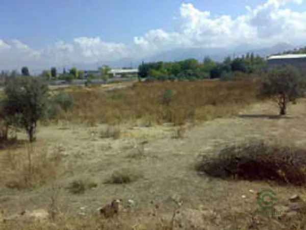 Spot image