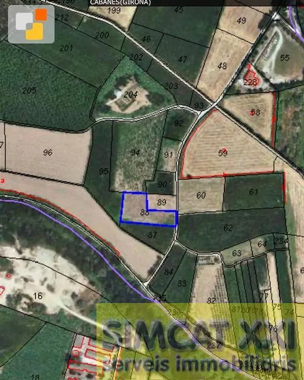 Spot image