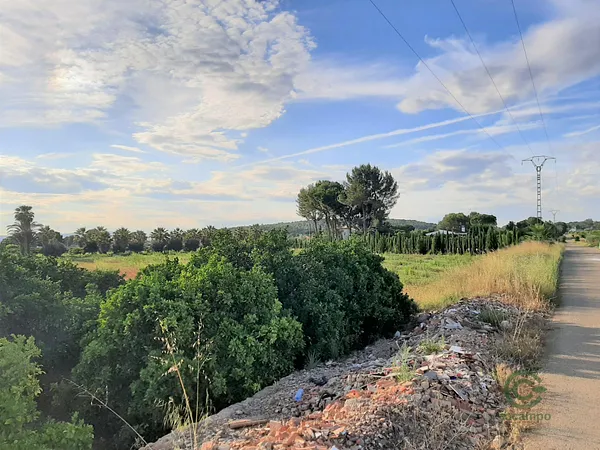 Spot image