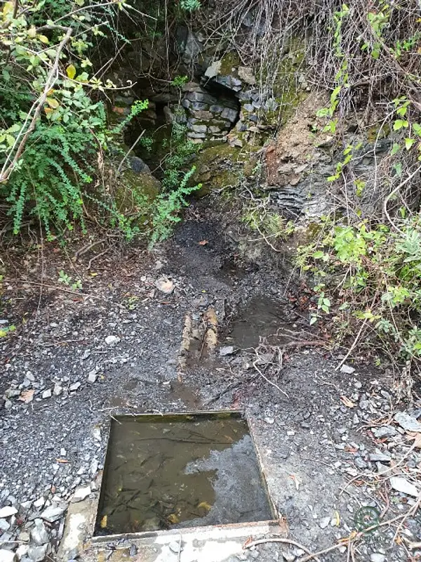 Spot image