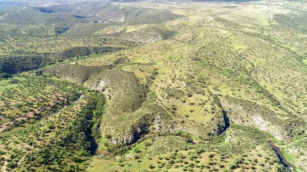 Spot image