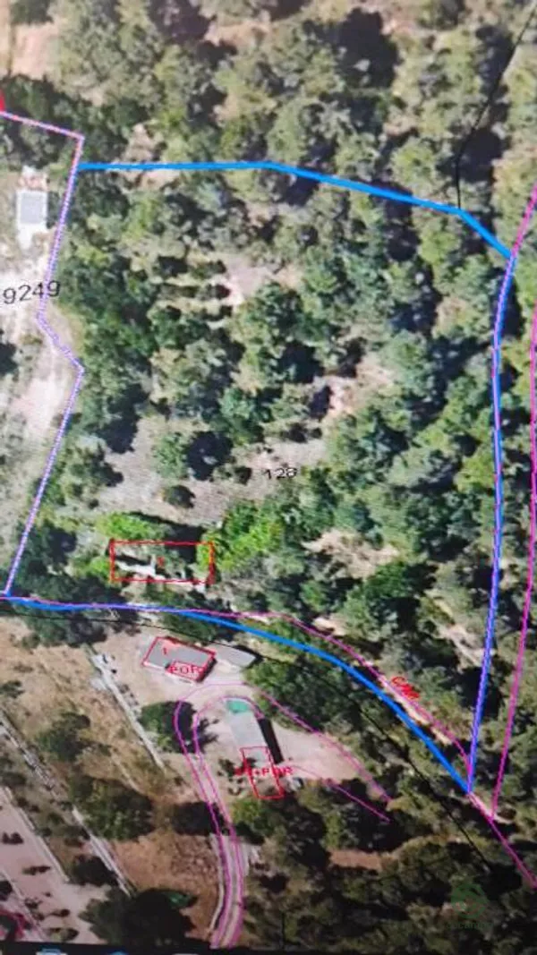 Spot image