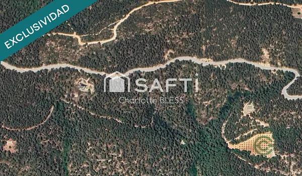 Spot image