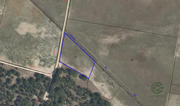 Spot image