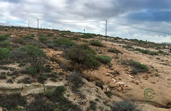 Spot image