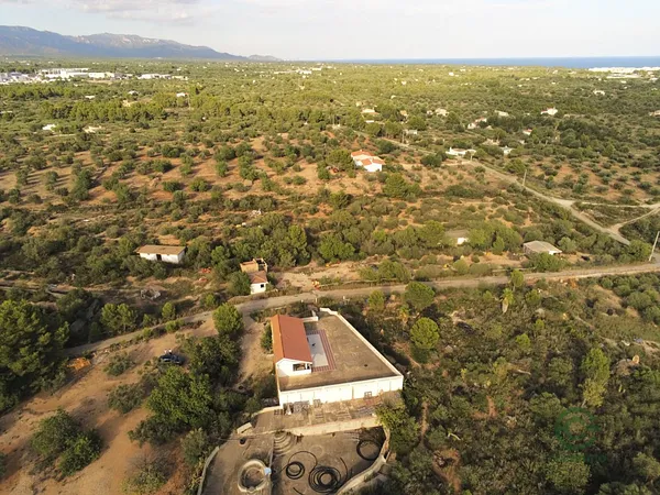 Spot image