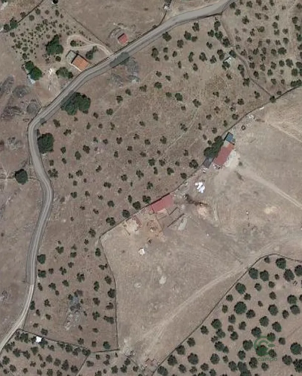 Spot image