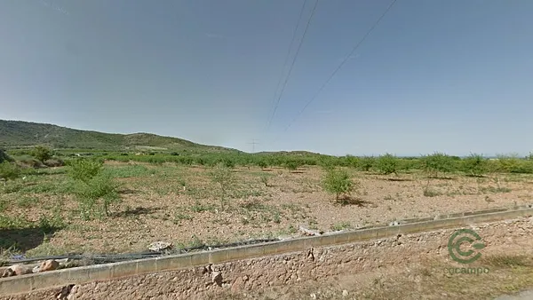 Spot image