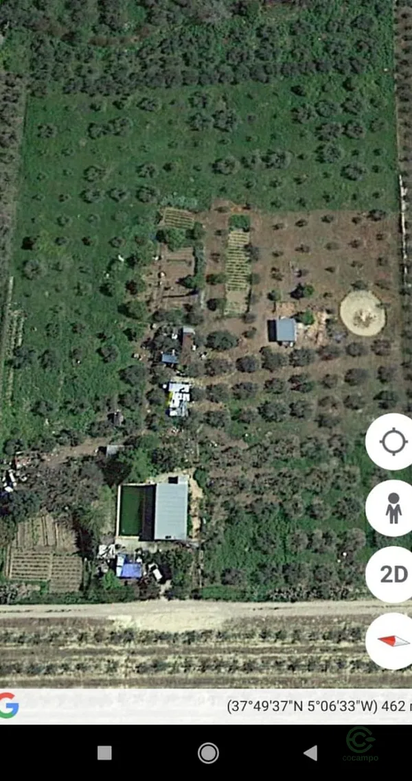 Spot image