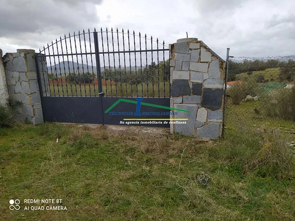 Spot image