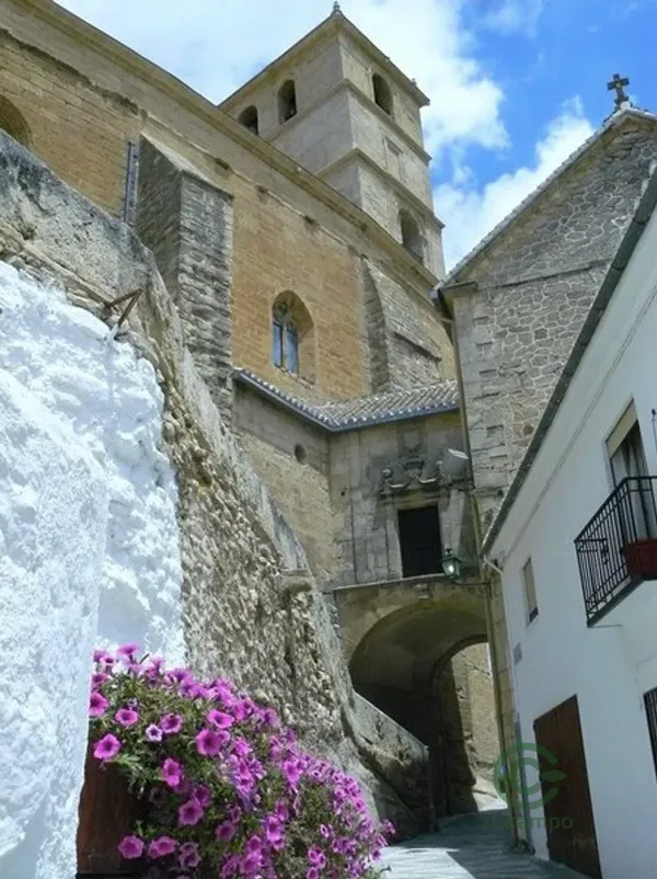 Spot image