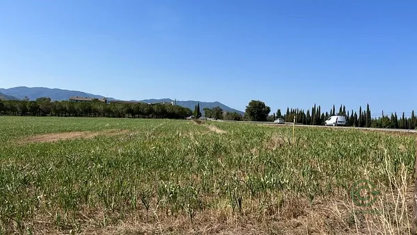 Spot image