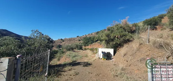 Spot image