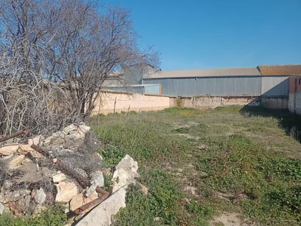 Spot image