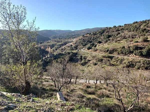 Spot image